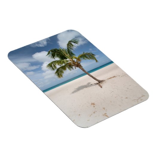 Tropical Beaches Eagle Beach, Aruba Magneet (Rechterzijde)