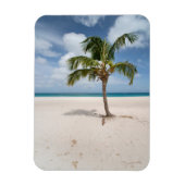 Tropical Beaches Eagle Beach, Aruba Magneet (Verticaal)