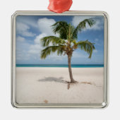 Tropical Beaches Eagle Beach, Aruba Metalen Ornament (Voorkant)