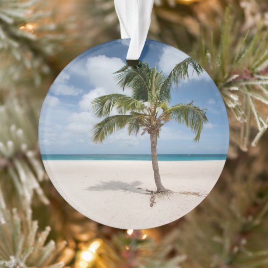 Tropical Beaches Eagle Beach, Aruba Ornament (Boom)