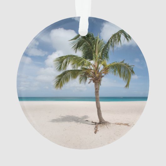 Tropical Beaches Eagle Beach, Aruba Ornament (achterkant)