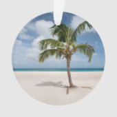Tropical Beaches Eagle Beach, Aruba Ornament (voorkant)