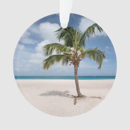 Tropical Beaches Eagle Beach, Aruba Ornament (voorkant)