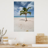 Tropical Beaches Eagle Beach, Aruba Poster (Keuken)