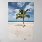 Tropical Beaches Eagle Beach, Aruba Poster (Voorkant)