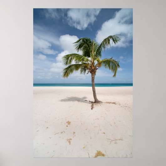 Tropical Beaches Eagle Beach, Aruba Poster (Voorkant)