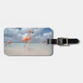 Tropical Beaches Flamingos Beach, Aruba Bagagelabel (Voorkant horizontaal)