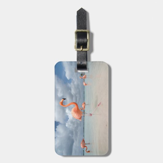 Tropical Beaches Flamingos Beach, Aruba Bagagelabel (Voorkant verticaal)