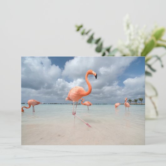 Tropical Beaches Flamingos Beach, Aruba Bedankkaart (Staand voorkant)