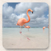 Tropical Beaches Flamingos Beach, Aruba Bier Onderzetter (Voorkant)
