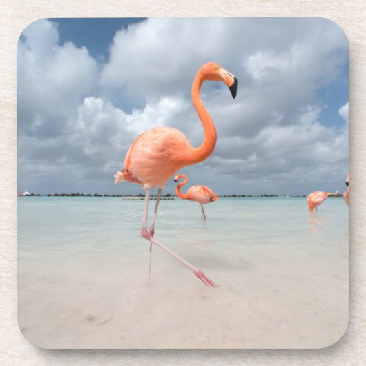 Tropical Beaches Flamingos Beach, Aruba Bier Onderzetter (Voorkant)