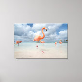 Tropical Beaches Flamingos Beach, Aruba Canvas Afdruk (Voorkant)