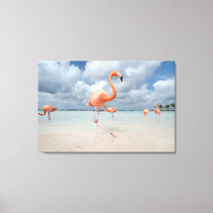 Tropical Beaches Flamingos Beach, Aruba Canvas Afdruk