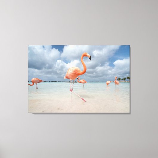 Tropical Beaches Flamingos Beach, Aruba Canvas Afdruk (Voorkant)