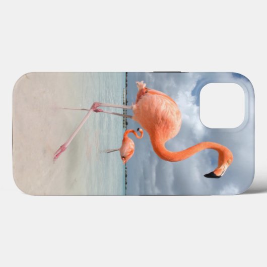 Tropical Beaches | Flamingos Beach, Aruba Case-Mate iPhone Case (Achterkant (horizontaal))