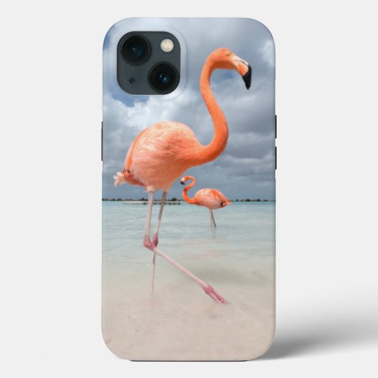 Tropical Beaches | Flamingos Beach, Aruba Case-Mate iPhone Case (Achterkant)