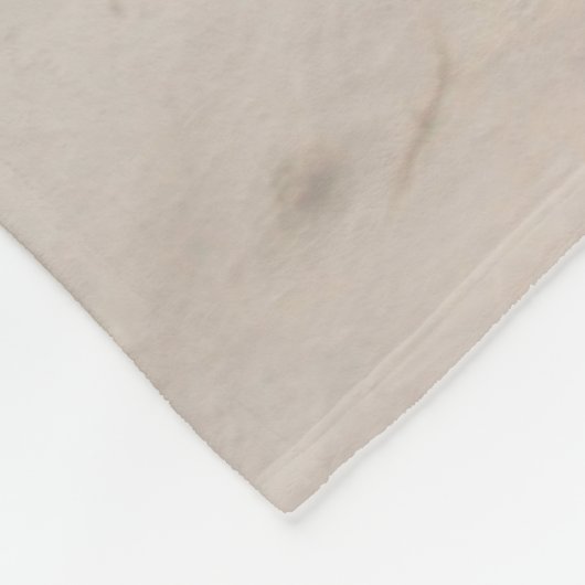 Tropical Beaches Flamingos Beach, Aruba Fleece Deken (Hoek)