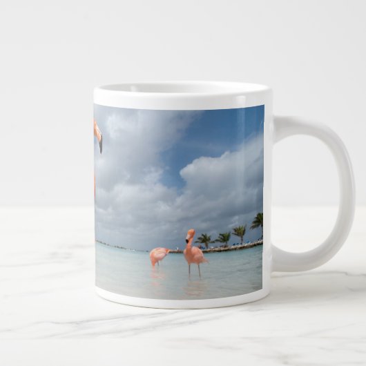 Tropical Beaches Flamingos Beach, Aruba Grote Koffiekop (Rechts)