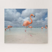 Tropical Beaches Flamingos Beach, Aruba Legpuzzel (Horizontaal)