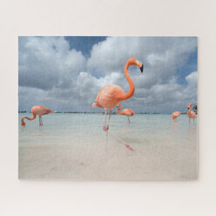 Tropical Beaches Flamingos Beach, Aruba Legpuzzel