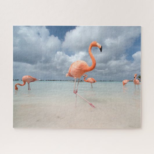 Tropical Beaches Flamingos Beach, Aruba Legpuzzel (Horizontaal)