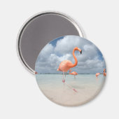 Tropical Beaches Flamingos Beach, Aruba Magneet (Voorkant / Achterkant)