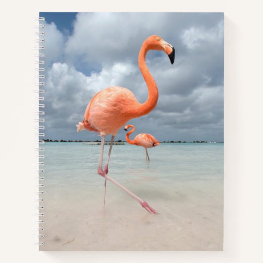 Tropical Beaches Flamingos Beach, Aruba Notitieboek (Voorkant)