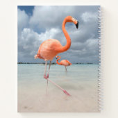 Tropical Beaches Flamingos Beach, Aruba Notitieboek (Achterkant)