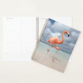 Tropical Beaches Flamingos Beach, Aruba Planner (Display)