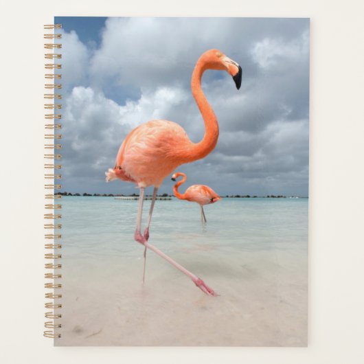 Tropical Beaches Flamingos Beach, Aruba Planner (Voorkant)