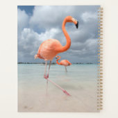 Tropical Beaches Flamingos Beach, Aruba Planner (Achterkant)
