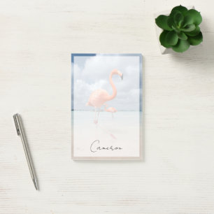 Tropical Beaches Flamingos Beach, Aruba Post-it® Notes
