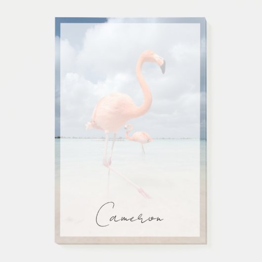 Tropical Beaches Flamingos Beach, Aruba Post-it® Notes (Voorkant)