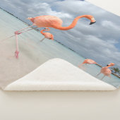 Tropical Beaches Flamingos Beach, Aruba Sherpa Deken (3/4)