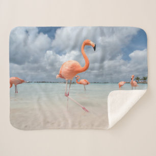 Tropical Beaches Flamingos Beach, Aruba Sherpa Deken