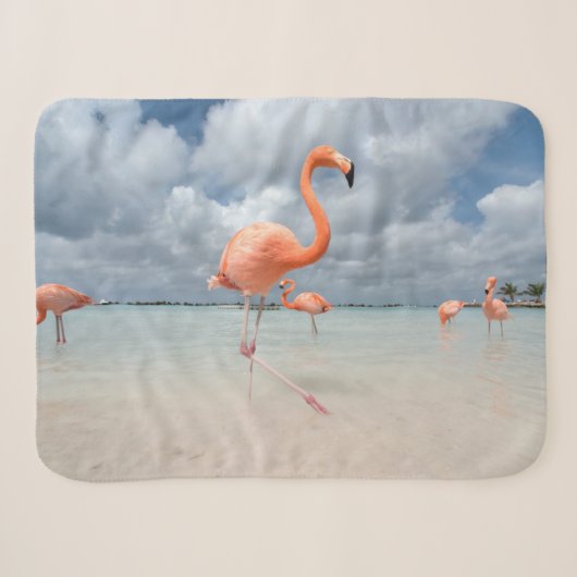 Tropical Beaches Flamingos Beach, Aruba Sherpa Deken (Voorkant (horizontaal))