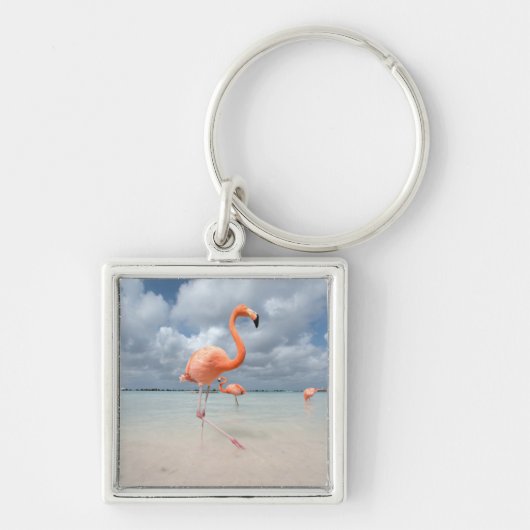 Tropical Beaches Flamingos Beach, Aruba Sleutelhanger (Voorkant)