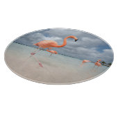 Tropical Beaches Flamingos Beach, Aruba Snijplank (Hoek)