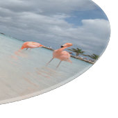Tropical Beaches Flamingos Beach, Aruba Snijplank (Hoek)