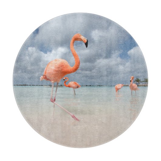 Tropical Beaches Flamingos Beach, Aruba Snijplank (Voorkant)