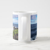 Tropical Beaches | Haleakala National Park Maui Grote Koffiekop (Achterkant)