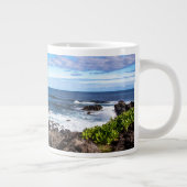 Tropical Beaches | Haleakala National Park Maui Grote Koffiekop (Rechts)