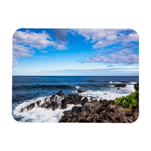 Tropical Beaches | Haleakala National Park Maui Magneet (Horizontaal)