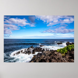 Tropical Beaches   Haleakala National Park Maui Poster