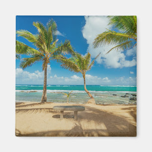 Tropical Beaches Kuau Cove Beach, Maui Hawaii Magneet