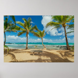 Tropical Beaches Kuau Cove Beach, Maui Hawaii Poster