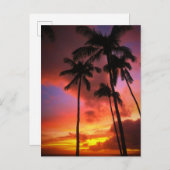 Tropical Beaches | Maui Hawaii Islands Briefkaart (Voorkant / Achterkant)
