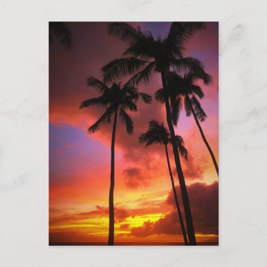 Tropical Beaches | Maui Hawaii Islands Briefkaart (Voorkant)