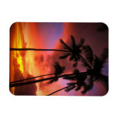 Tropical Beaches Maui Hawaii Islands Magneet (Horizontaal)