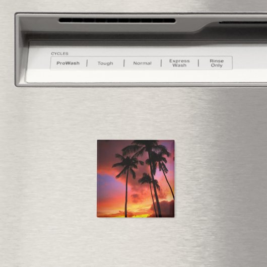 Tropical Beaches Maui Hawaii Islands Magneet (Insitu (Vaatwasser))